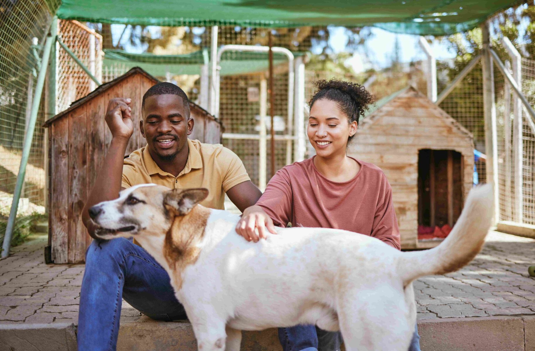 Homem e mulher em frente a um abrigo cuidando de um cachorro.