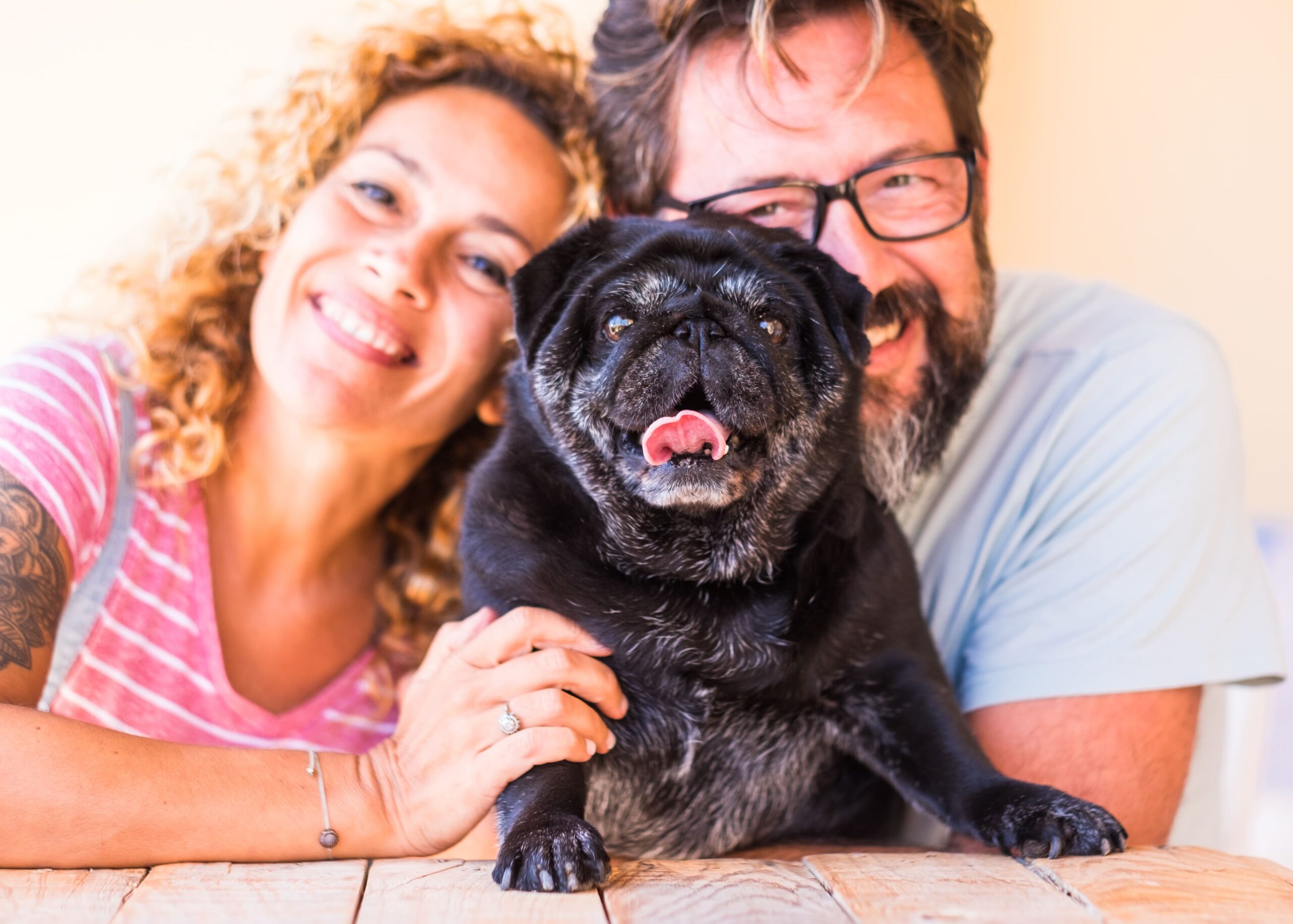 Cachorro com tosse: cuidados, causas e quando procurar ajuda