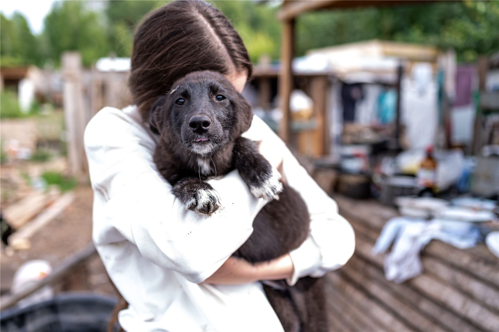Adoção de cachorro: formas, cuidados e dicas essenciais