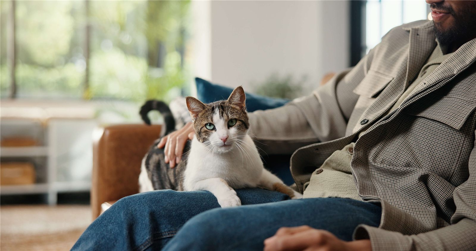 Benefícios de conviver com animais para humanos e pets