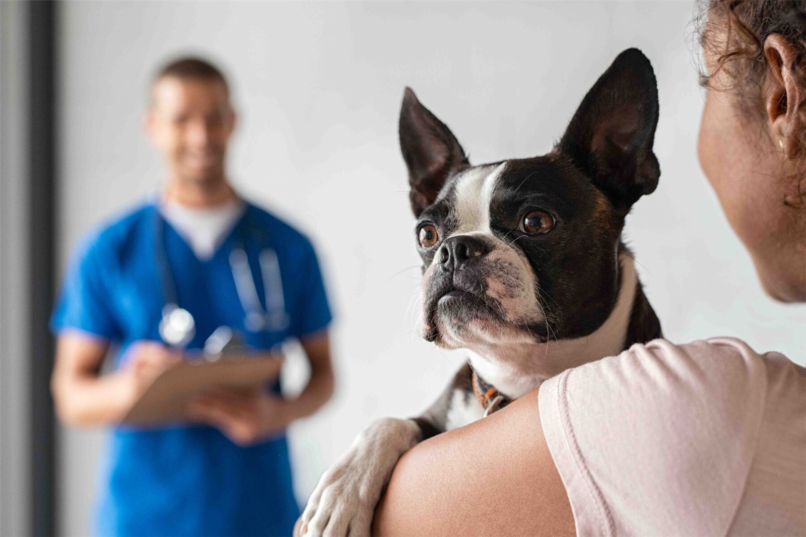 Mulher segurando um cachorro e um médico ao fundo, que fará a castração.