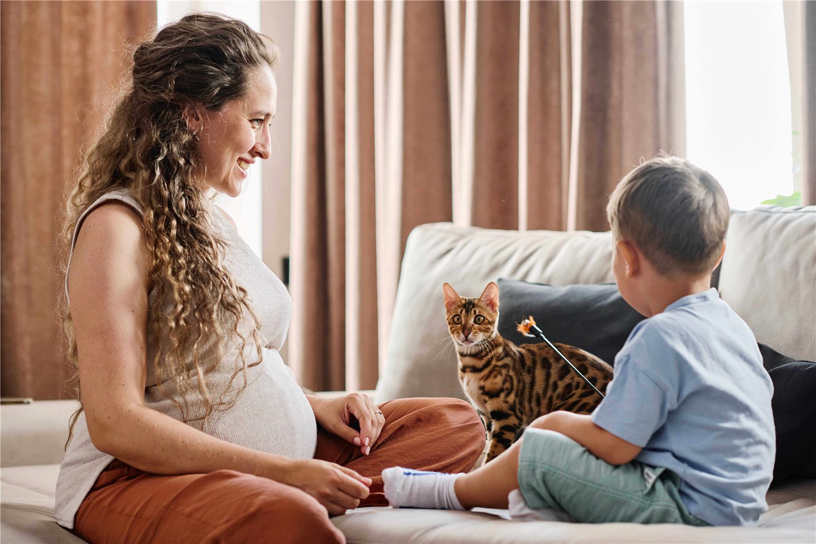 O que é Zoonose? Conheça 7 doenças que afetam os pets